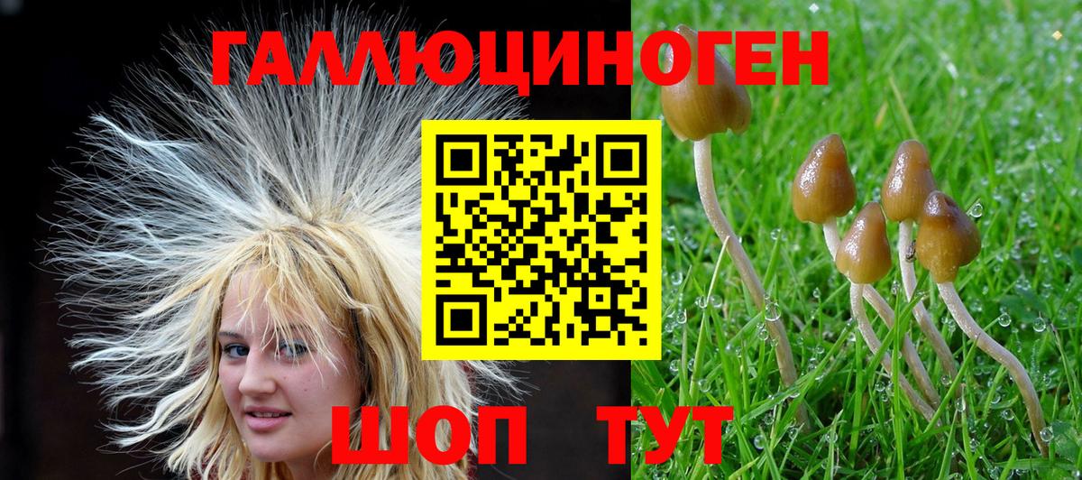 Галлюциногенные грибы ЛСД  Галлюциногенные грибы Psilocybe  Зеленогорск 