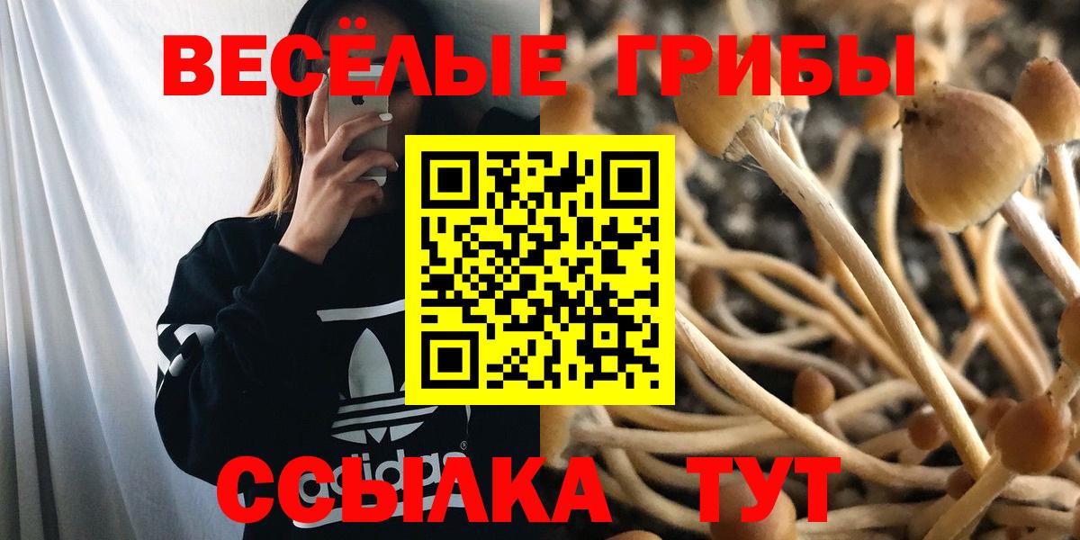 Галлюциногенные грибы ЛСД Зеленогорск