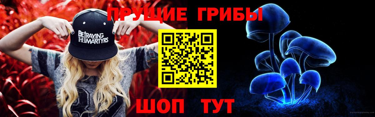 Псилоцибиновые грибы MAGIC MUSHROOMS Зеленогорск