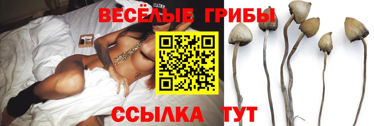Галлюциногенные грибы ЛСД  Вход с VPN  Галлюциногенные грибы Psilocybine cubensis  Зеленогорск 